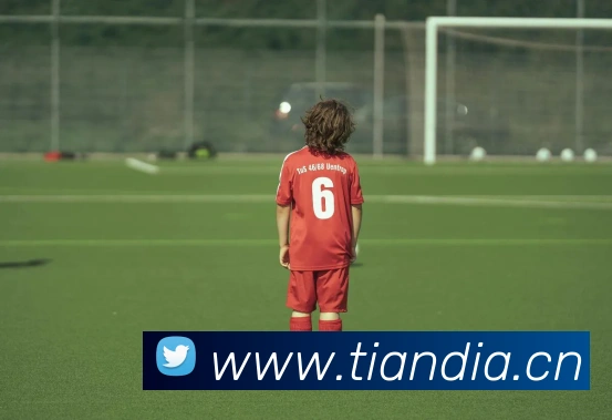 开云官方手机版发展历程